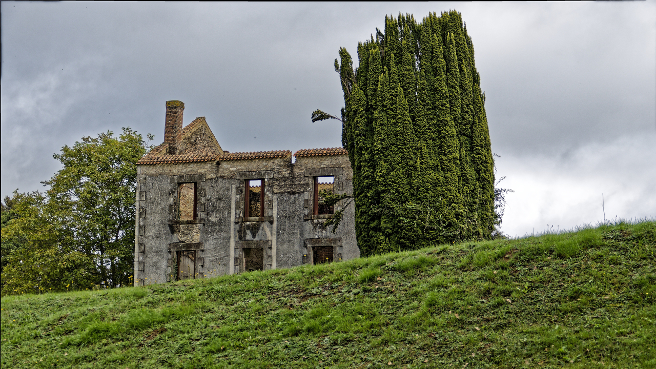20241006 125847•Oradour-sur-Glane•Nouvelle-Aquitaine•France